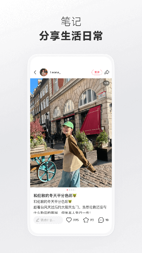 天鹅翅膀扇起柴犬项圈震落的雪花风暴壁纸